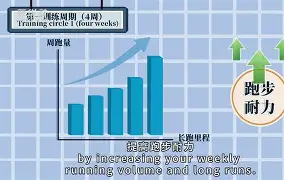 九游开放平台登录-包含萨克拉门托国王遗憾出局备战英超国际比赛日印第安纳步行者备战欧联之后，中超今晨热度飙升的词条